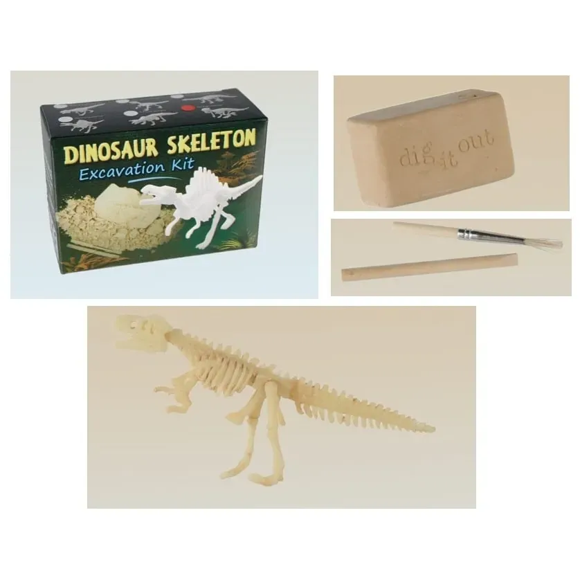 Arkeologset Dinosaurie 4 x 8 cm