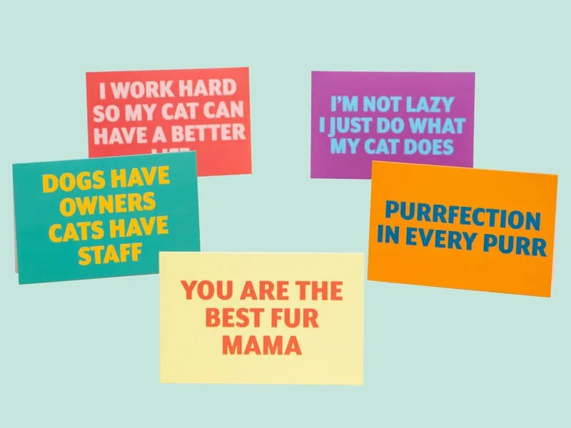 Citatkort Cats - 10-pack