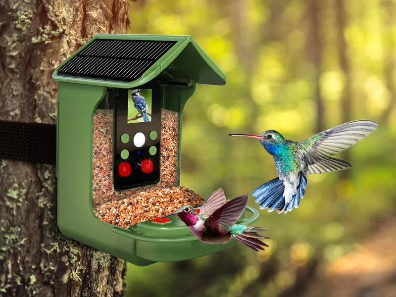 Fågelmatare med Kamera Denver BFC-1200