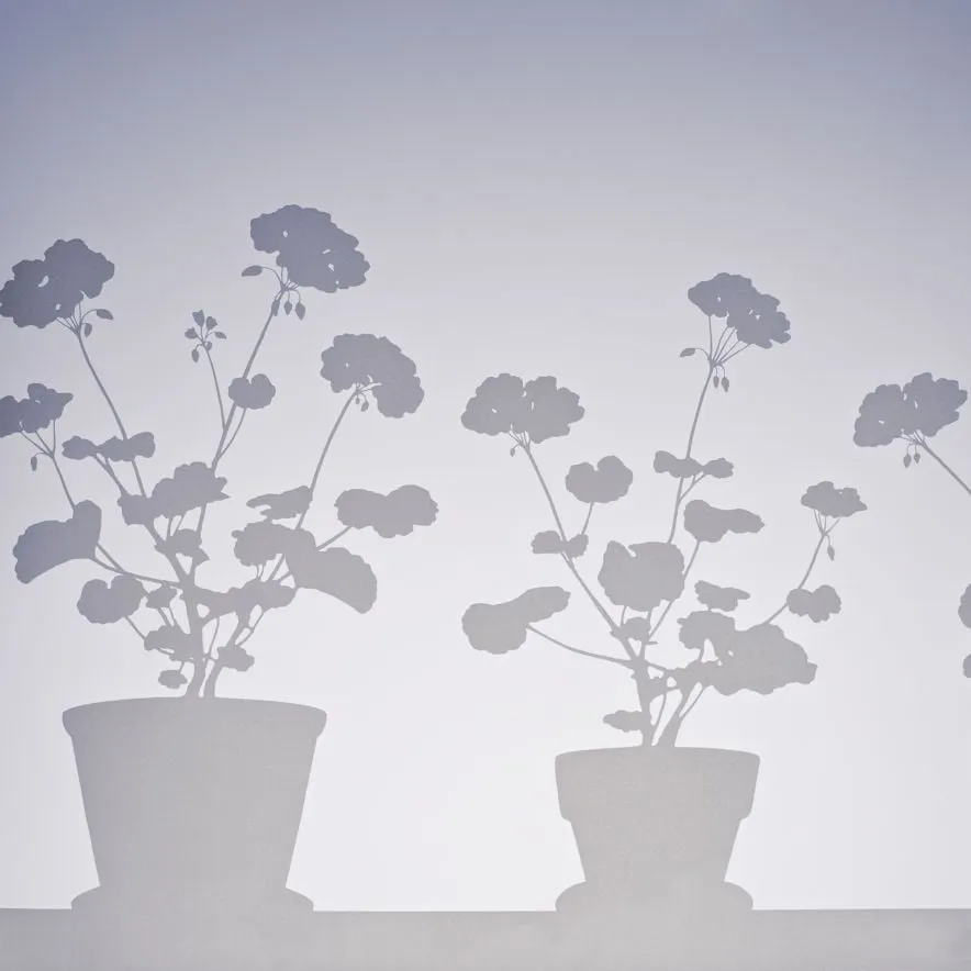 Fönstermönster Pelargon liten