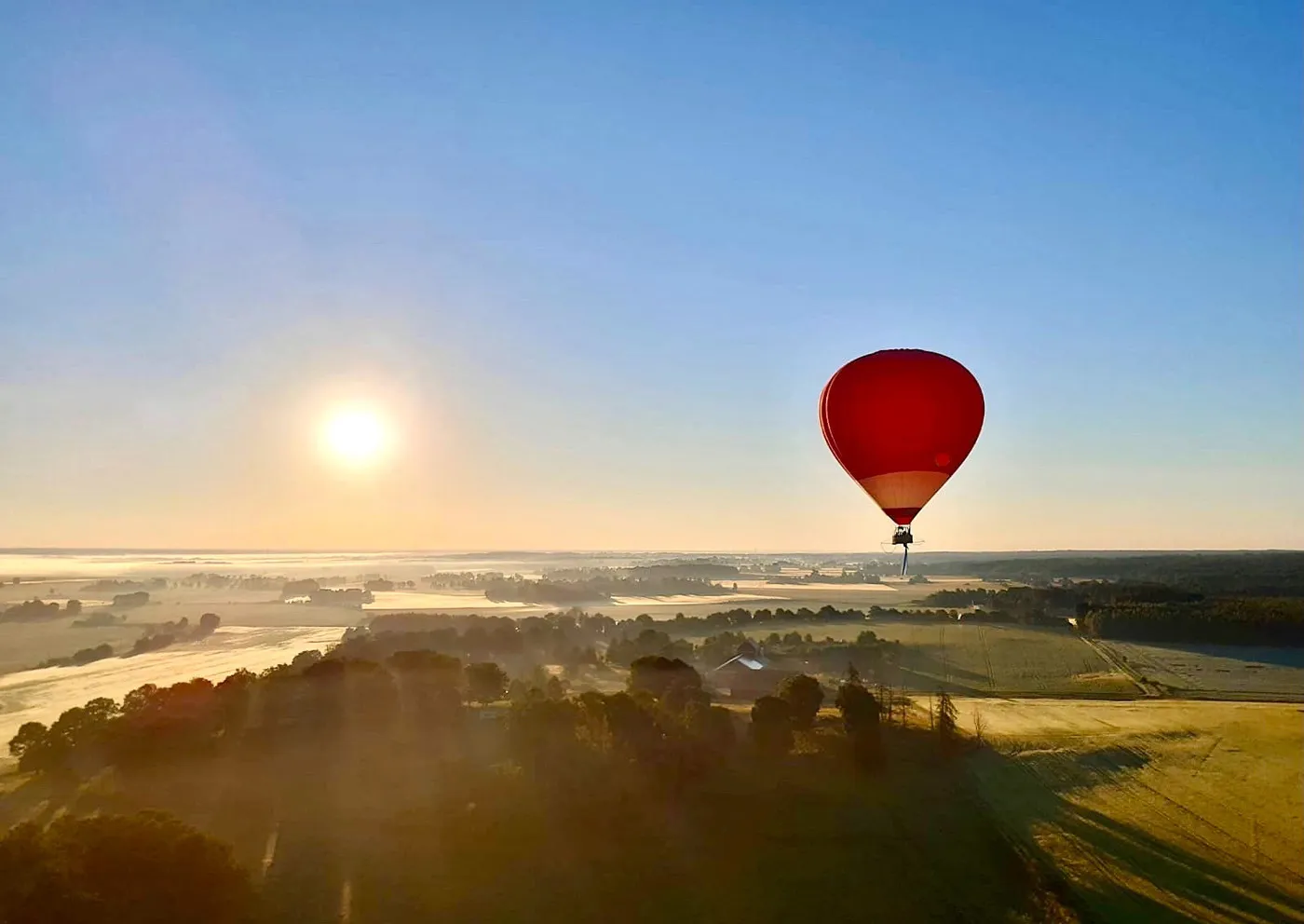 En nyfiken person tar hjälp av sin födelsedag för barn och studenter och känner att en egen måste få följa med hem.