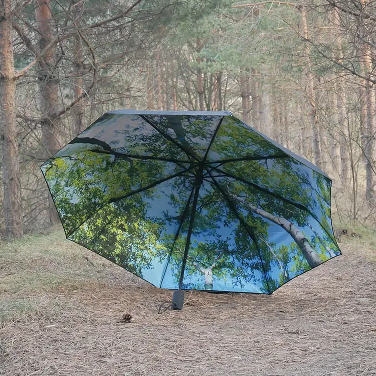 Paraply med fotomotiv, Skog