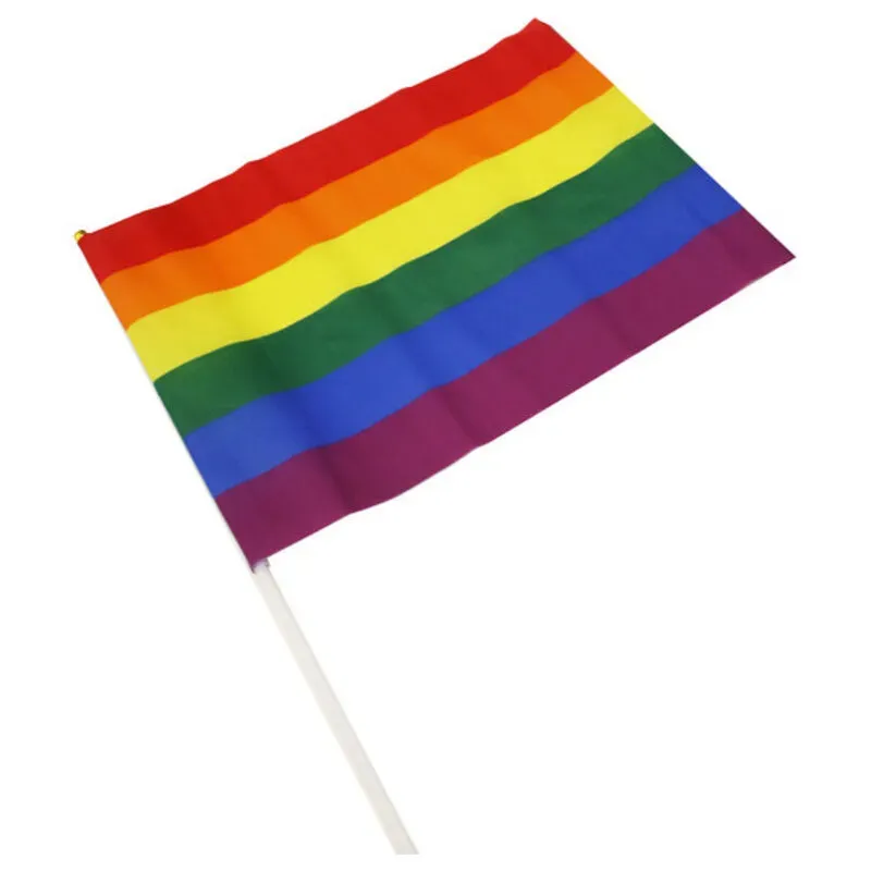 Pride Flagga 30 x 19 cm