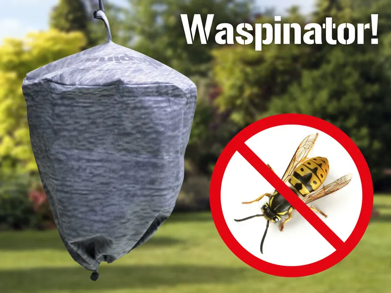 Waspinator Getingskrämma 2-pack
